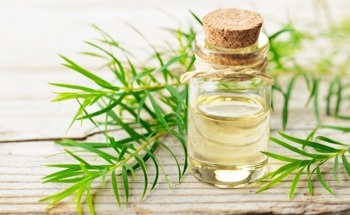 Functionalities of Essential-Oil Mediated Nanoparticles Explored
