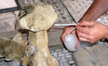 How Silicate Nanoparticles Help Save Historic Buildings