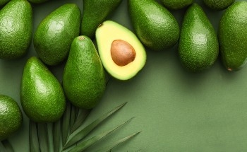 Scientists Make Thin Films From Avocado Leaves