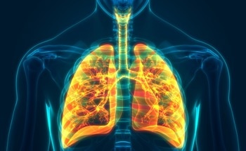 Stretchable Sensor Successful in Environmental and Respiratory Monitoring