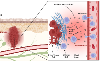 New Strategy to Overcome Cancer’s Ingenious Defenses