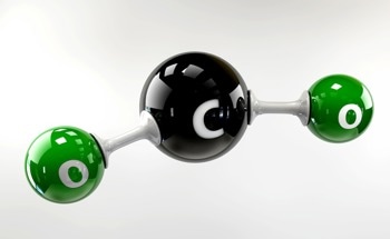 Expanding Catalyst Family for Electrocatalytic Reduction of CO2