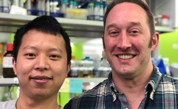 Bottom-Up Construction with a 2D Twist Could Yield Novel Materials