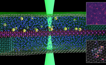Novel Technique to Allows Scientists to Observe How Atoms Move in Liquid