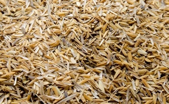 Nanofluid Derived from Rice Waste Displays Enhanced Physical Properties