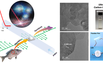 Turning Fish Waste into Quality Carbon-based Nanomaterial