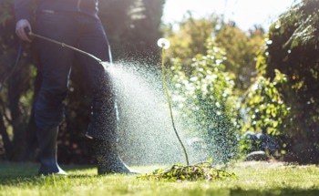 Graphene-Based Electrochemical Sensing of Dangerous Herbicide