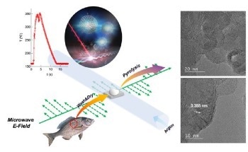 Converting Fish Waste into Carbon-Based Nanomaterial