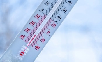 A Flexible Sensor for Real-Time Temperature Detection Using MoS2