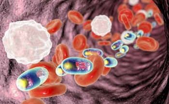 Advanced Light Source Imaging, a Powerful Tool For Nanomedicine