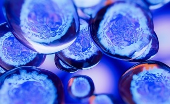 Stem Cell Membrane-Coated Nanoparticles in Tumor Therapy