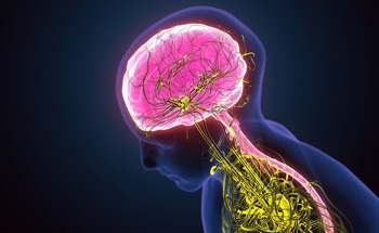 Where Does Nanotechnology Stand in Central Nervous System Disease Treatment?