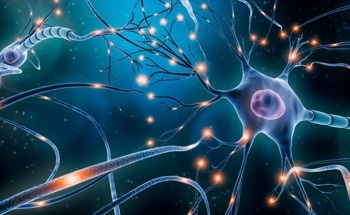 Carbon Quantum Dots Protect Against Neuronal Cell Death