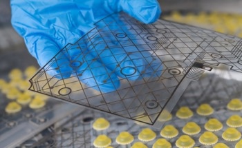 Stable, Eco-Friendly Transparent Electrodes for Flexible Electronics