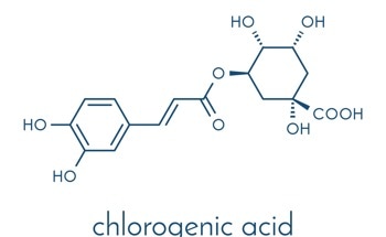 Platform to Precisely Detect Chlorogenic Acid in Drink Samples