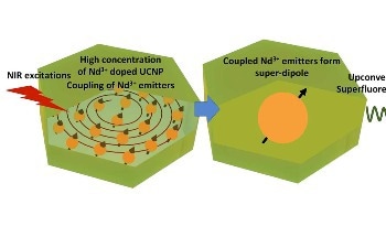 Surprising Discovery of Superfluorescence Bursts at Room Temperature