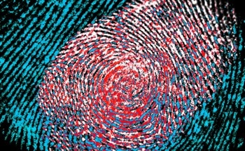 ZnO Nanoparticles Have Potential For Forensic Applications