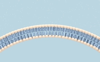 Novel Technology Optimizes High Perm-Selectivity and Anti-Biofouling in RO Membranes