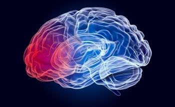 Nanoparticles Mediate Therapeutic Protein Delivery for Brain Injury Treatment