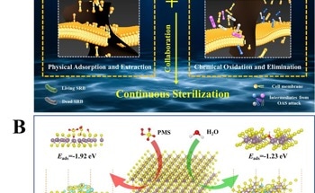 New Bactericidal Mechanism Uses Nanosheet-Based Vacancy Materials