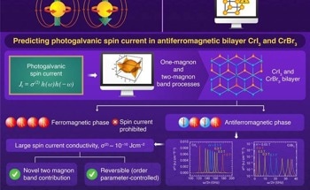 Investigating Magnetic Excitation-induced Spin Current in Chromium Trihalides