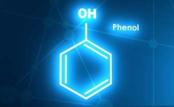 Towards High-Performance Catalysts for Targeted Phenol Hydrogenation