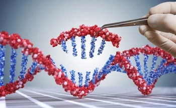 CRISPR/nCas9 Could Be Used to Treat Mucopolysaccharidosis IV A