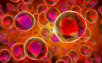 Ideal Method to Fabricate 1D Nanomaterials For Bioengineering