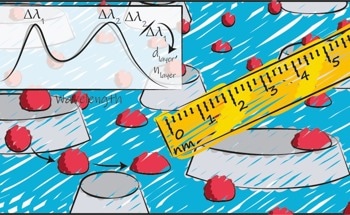 Optical Nanoruler Measures Systems at the Nanoscale in Real-Time