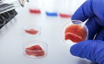Detecting Nitrite Ions in Meat Using a Carbon Dot/PVA Nanocomposite