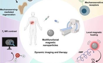 New Insights into Dynamic Imaging Use of Magnetic Nanoparticles