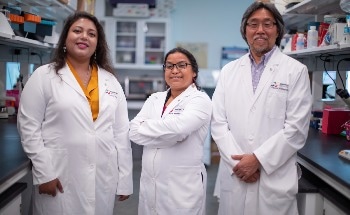 Novel Nanocarriers to Transport Drug Payloads to the Brain