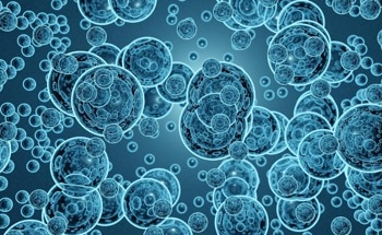 Probing Properties of Nanobubbles in 2D Semiconductors