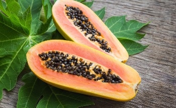 Green Synthesis of Antifungal TiO2 Nanoparticles from Papaya Shell