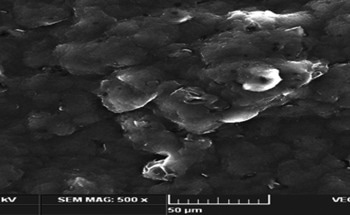 Biodegradable, Long-Acting Androgenic Alopecia Treatment System