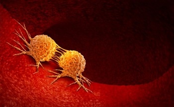 Cascade Nano-Bioreactor Designed for Synergistic Tumor Therapy