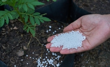 Farm-Waste-Derived Nanoring Coating to Enhance Urea Use in Rice Crops