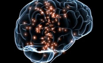 Non-Invasive Strategy Delivers Nanoparticles to the Brain