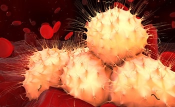 Graphdiyne Oxide Effective Against AML Caused by DNMT3A Mutation