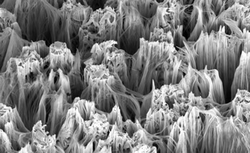 Piezoelectric Behavior of ZnO Nanowires with Mechanical Actuation