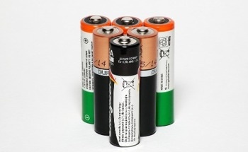 Seaweed Battery Paves Way for Environment-Friendly Energy Storage