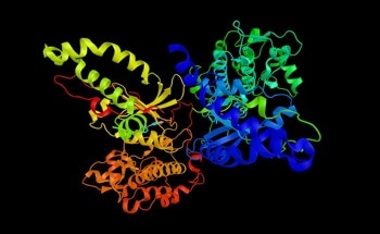 Powerful Tool for Crystallizing Unstable Proteins Suggested