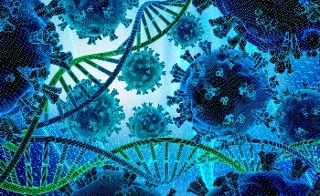 Determining the Particle Size and Particle Size Distribution of Nanoparticles Online During Production