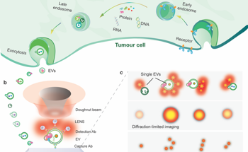 Nanoparticles Used to Explore Tumor Microenvironment