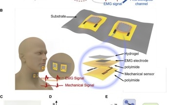 Graphene-Based Sensors Developed for Speech Recognition