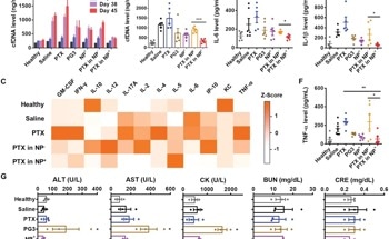 Nanocarriers Inhibit Metastasis in Breast Cancer Mouse Model