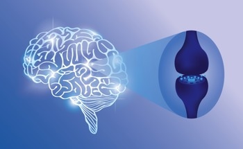 Targeted Endocannabinoid Drug Delivery System