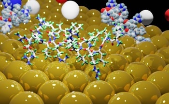Stable, Ligand-Free Au Nanoparticles Generated for Biomedicine