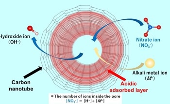 Acidic Layer in Single-Walled Carbon Nanotubes Facilitates Confinement of Anion Impurities