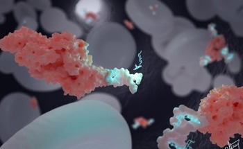 Cancer Treatment with DNA “Nanotransporters”
